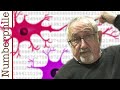 Understanding Numerosity and Its Implications