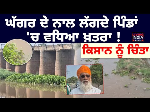 Ghaggar ਦੇ ਨਾਲ ਲੱਗਦੇ ਪਿੰਡਾਂ 'ਚ ਵਧਿਆ ਖ਼ਤਰਾ ! ਕਿਸਾਨ ਨੂੰ ਚਿੰਤਾ | Chetan Singh Jouramajra | Punjab Farmer