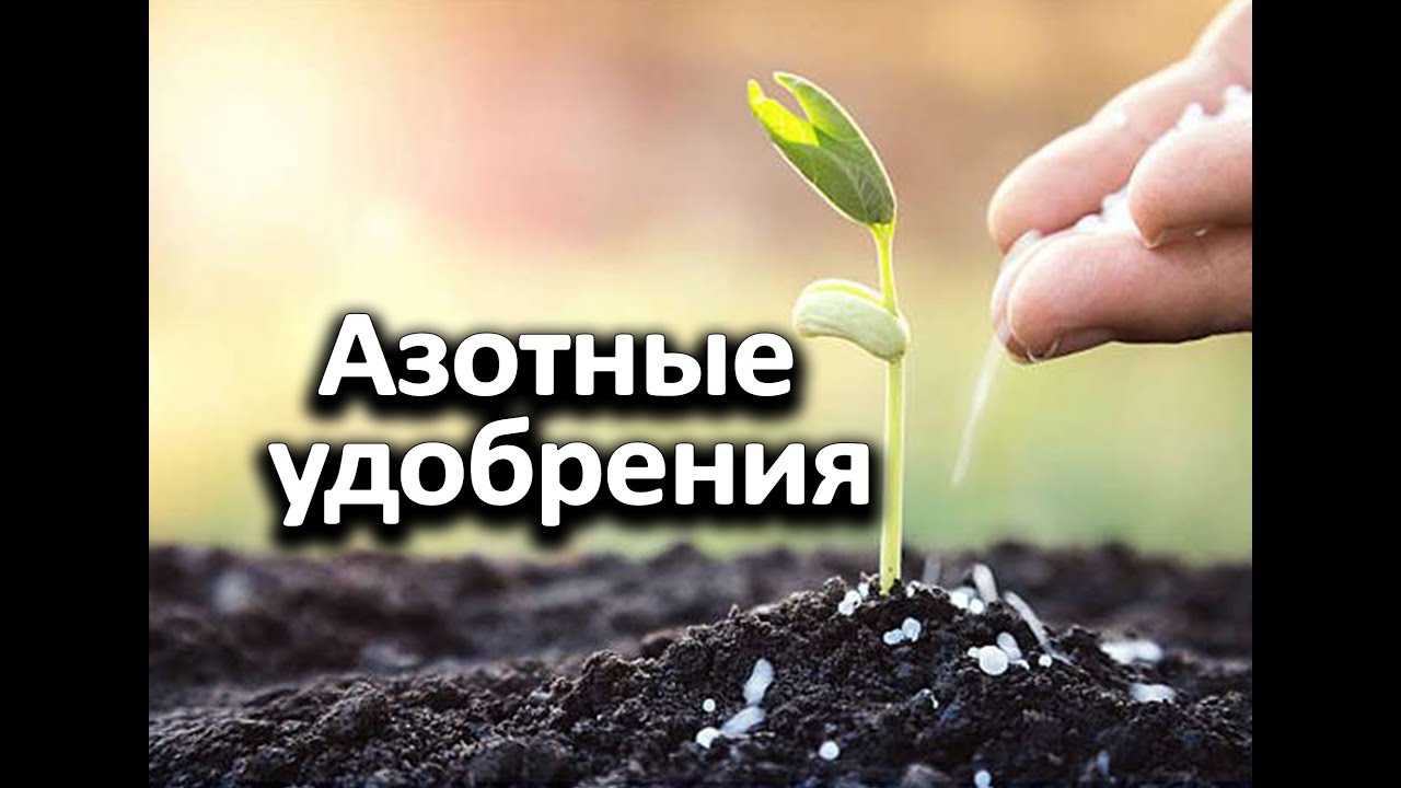Все что нужно знать об азотных удобрениях!