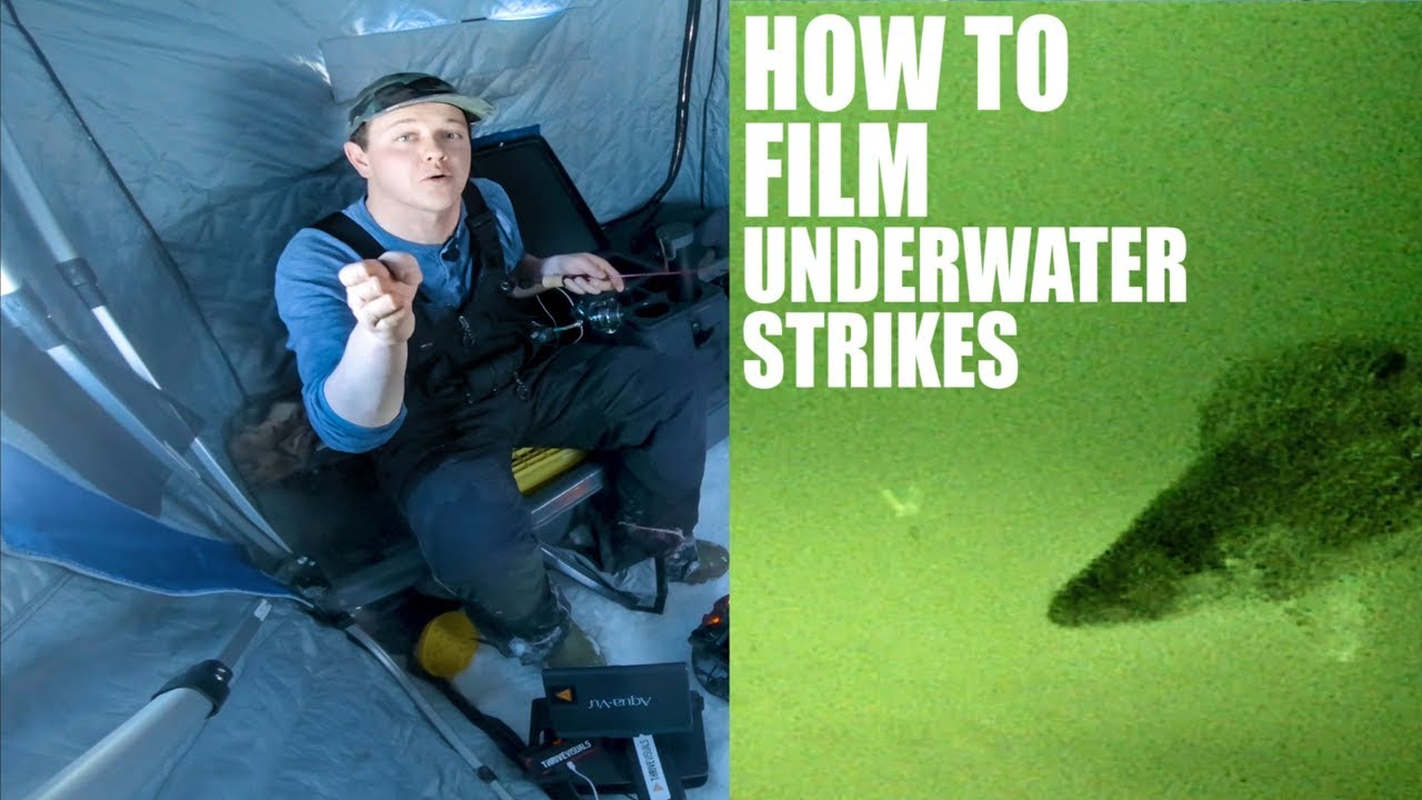 How To Film With An Underwater Camera! (Aqua-Vu) - Jay Siemens