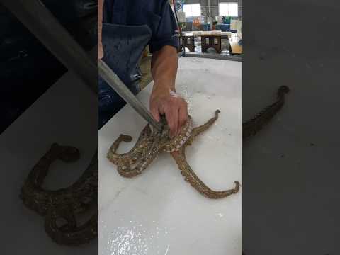 タコ下処理方法