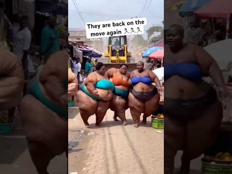 They are back on the move again🏃🏾♀️🏃🏾♀️ #comedy #comedyshorts #shortsfeed #shortsfunny#ytshort