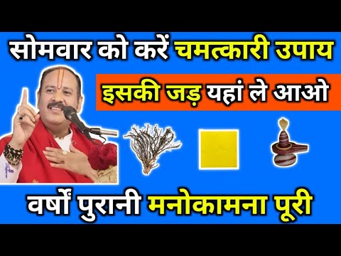 सोमवार को करें चमत्कारी उपाय, इसकी जड़ यहां ले आओ #pradeepmishra #panditpradeepmishra #pradeepmishra