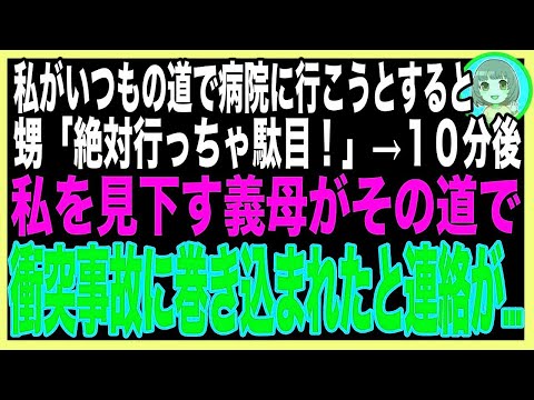 【スカッと】妊婦の私が定期検診に行こうとすると5歳甥「その道は駄目って、赤ちゃんが…」→言う通りにした10分後、私をいつも見下す義母が産婦人科近くで事故に巻き込まれたと連絡が入って…（朗読）