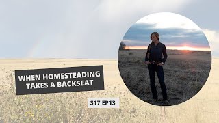 S17: E13: When Homesteading Takes a Backseat