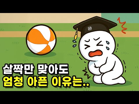 남자가 거기 맞으면 많이 아파하는 이유는?