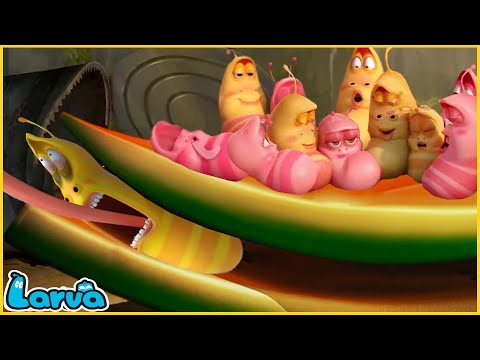 LARVA SEASON 6 - BẸP DÚM - ẤU TRÙNG TINH NGHỊCH - PHIM HOẠT HÌNH LARVA MỚI NHẤT 2023