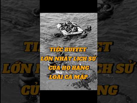 Tiệc buffet thịt nguội lớn nhất lịch sử của họ hàng loài cá mập #chuotkechuyen #shorts
