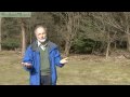 Woodland Ecosystem Management Concepts