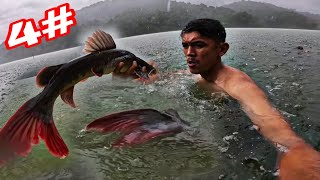 RỪNG Già Dổ Mưa Lớn Đầu Mùa Là Lúc Cá Lớn Đi Săn Mồi | 4 Ngày Ngủ RỪNG ( Hái Rau Câu Cá Làm Nơi Ở )