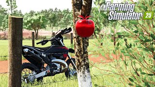 SAIMOS NA PROCURA DAS MAÇÃS VERMELHAS PELA REGIÃO | Três Marias | Farming Simulator 25