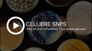 CELLIBRE SNPS: Competition and Our Approach