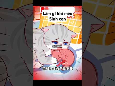 Làm gì khi mèo mẹ sinh con #minebeauty