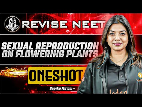 Revise NEET: Sexual Reproduction in Flowering Plants One-Shot🔥 | Gopika Ma'am
