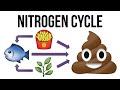 Navigating the Aquarium Nitrogen Cycle
