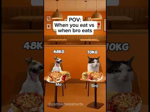 When you eat vs when bro eats #shorts #catmemes #relatable #funny