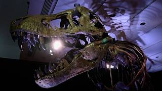 YouTube video thumbnail: Dinosaur Fossils Become Wealth Market's New Trophy Asset