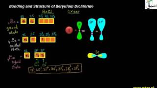 Bonding and Structure of Beryllium Dichloride