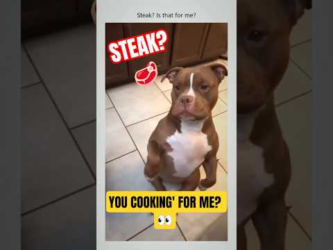 Funniest Dogs Ever? You Won't Make It Past 1 Minute! 😂 (GUARANTEED) #dog #dogs #dogfails