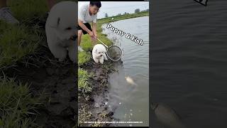 Puppy 🐶 का मछली पकड़ने का निंजा ट्रिक 😂🤯