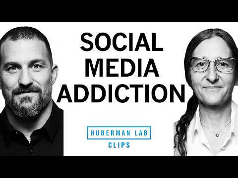 How to Beat Social Media Addiction | Dr. Anna Lempke & Dr.Andrew Huberman