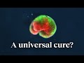 Regenerative Medicine and Xenobots Concepts