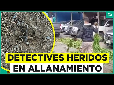 Trampas estaban ocultas en la plantación: Cuatro detectives resultaron heridos en procedimiento