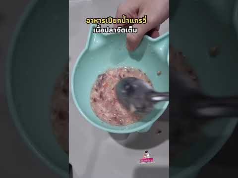 พิกัดอาหารเปียกแมวVIFหน้าช่องยูทูป