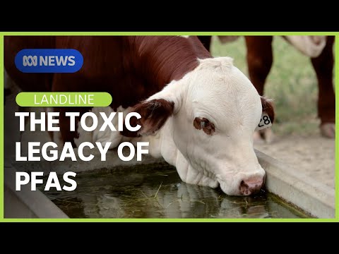 YouTube video thumbnail: Toxic Legacy: What to Do About PFAs Contamination in Livestock Water?