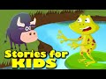 The Big Frog's Pride and Perception