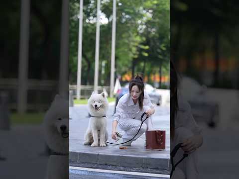 😂 When Cleaning Becomes a Fashion Statement 😲🐕 #shorts