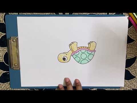 Draw a picture of a turtle with colored pencils