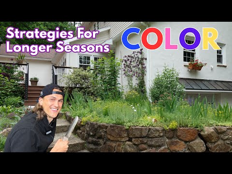 Grow a NONSTOP COLOR Garden! Here's 5 Tips
