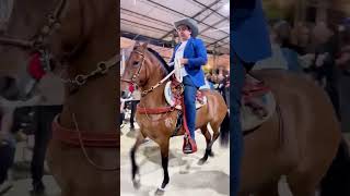 Disfrutando caballos ❤️🐴