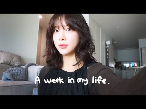 [VLOG] 일상 브이로그 | 크리스마스 준비 | 리스 클래스 | 겨울 꿀템 | 고추장찌개, 동태찌개 | 드립백, 병음료 만들기 | 올영세일 추천 | 혈당스파이크 맞은 날들