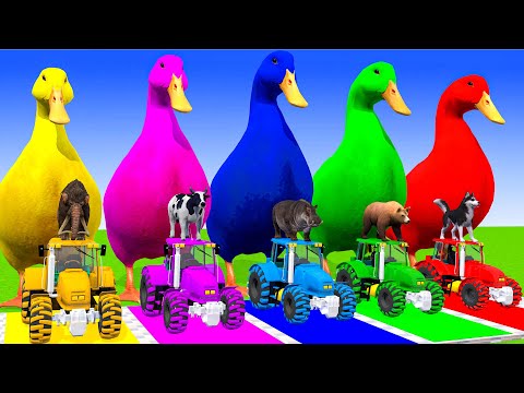 4 Giant Duck Cartoon,Tiger,Cow,rabbit,Gorilla,Hamsters,Dog,Cat Wild Animals Crossing Fountain 2025