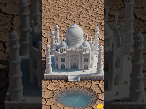 MashaAllah #shorts #viral #islamicvideo #shortsvideo