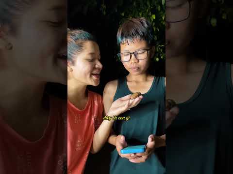 Bạn đã thấy ve đột biến gen chưa?? #shorts