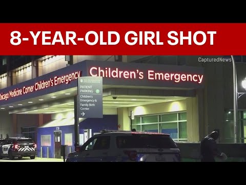 Girl, 8, shot in car on Chicago's South Side