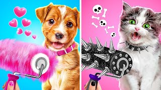 Mascotas Necesitan un Makeover de Casa 🏠🐾 Hacks y Gadgets Súper Tiernos 😭🐶🐱
