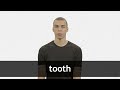 Understanding the Concept of 'Tooth'