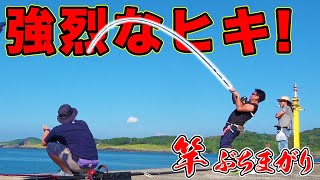 堤防の足元で強烈なヒキのアイツを釣り上げる！！