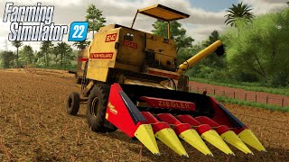 COLHEDEIRA ANTIGA NO 12 | Farming Simulator 22 | BR163 - EP07