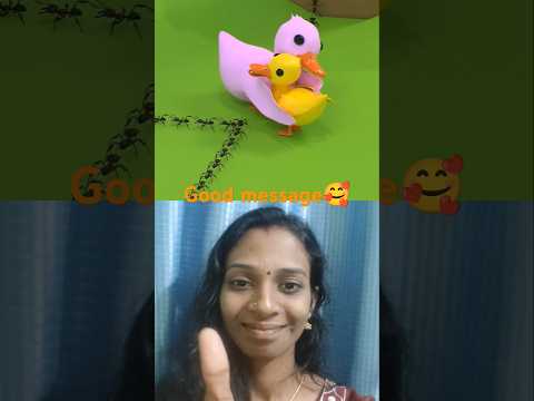 Kindness Behavior Of Baby Duck #animation #shots #shorts #shortvideo #memes #funny #animals #pets