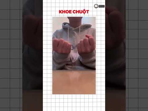 THÚ CƯNG NÀY CHẮC ÍT NGƯỜI NUÔI #tiktok #mridolike #trendtiktok #funny #thucung #trend