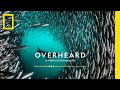 Exploration and Conservation of Marine Life