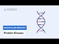Protein Kinases and Phosphorylation Concepts
