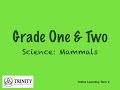 Mammals and Their Characteristics
