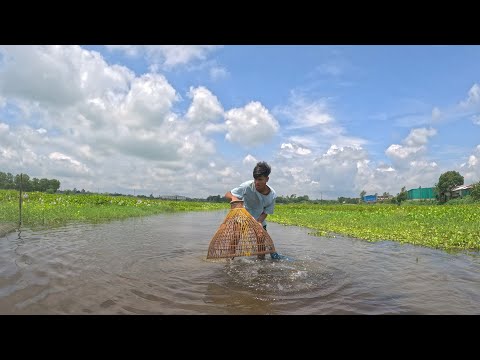 Polo Fishing|Traditional Boy Polo Fishing In Village|