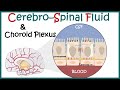 Cerebrospinal Fluid and Choroid Plexus
